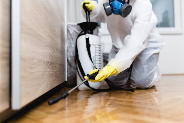 Best Pest Control Near Me in Delray Beach, FL
