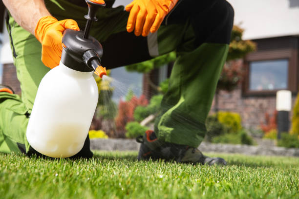 Best Cockroach Control Services  in Delray Beach, FL
