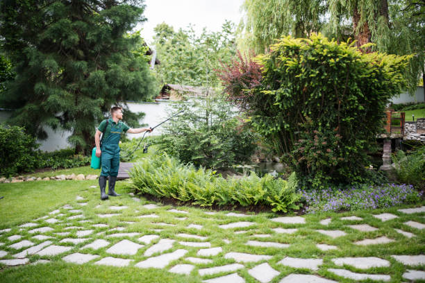 Best Residential Pest Control  in Delray Beach, FL