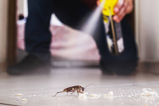 Professional Pest Control in Delray Beach, FL
