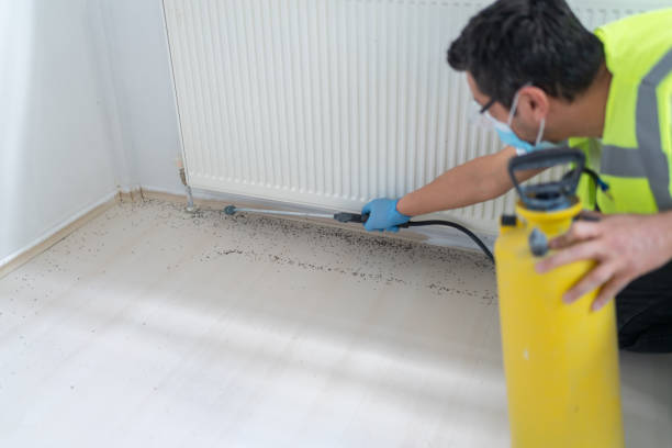 Best Exterminator Services  in Delray Beach, FL