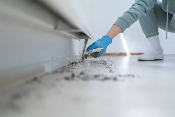 Best Emergency Pest Control  in Delray Beach, FL